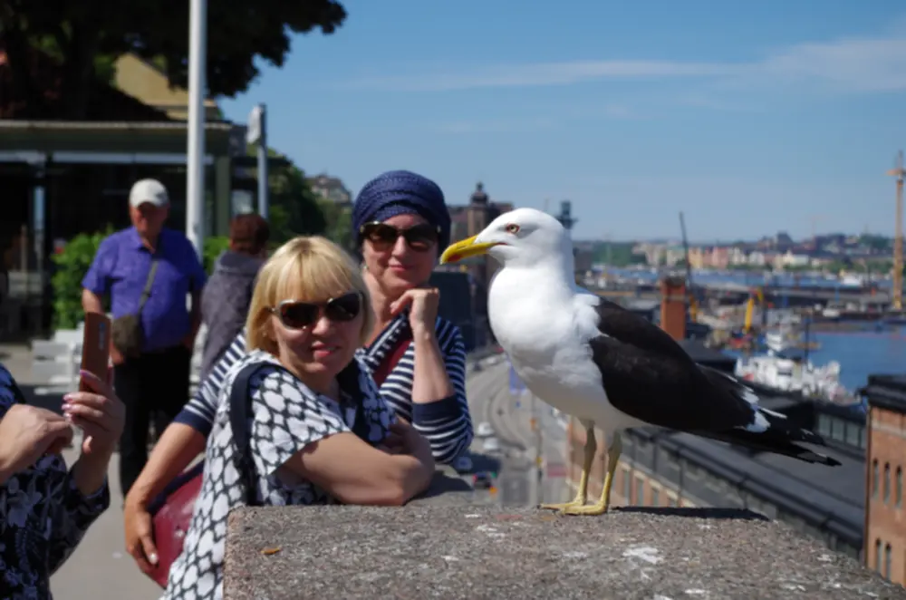 Kelionė į Stokholmą 2018 - 11