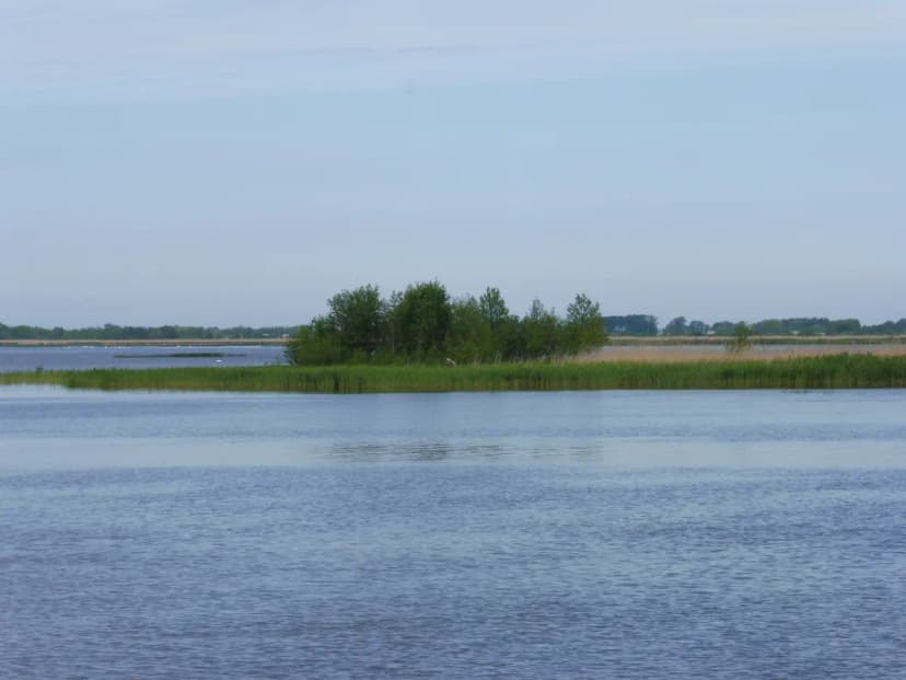 Išvyka į Kintus 2022 - 29