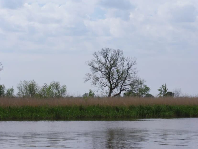 Išvyka į Kintus 2022 - 31