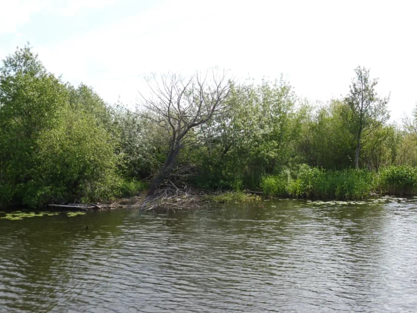 Išvyka į Kintus 2022 - 38