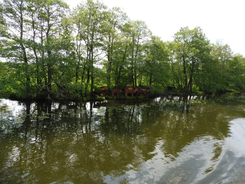 Išvyka į Kintus 2022 - 50